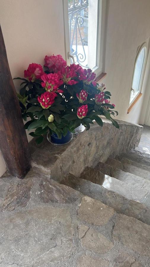 Loaz Relais Agriturismo Apartment Loazzolo Bagian luar foto
